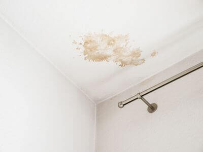 About Alexander Black Mold Removal - black mold removal experts in Alexander