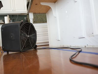 Professional black mold removal services in Alexander - Alexander Black Mold Removal