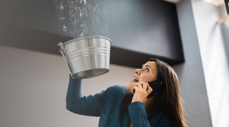 Why choose Alexander Black Mold Removal for black mold removal in Alexander